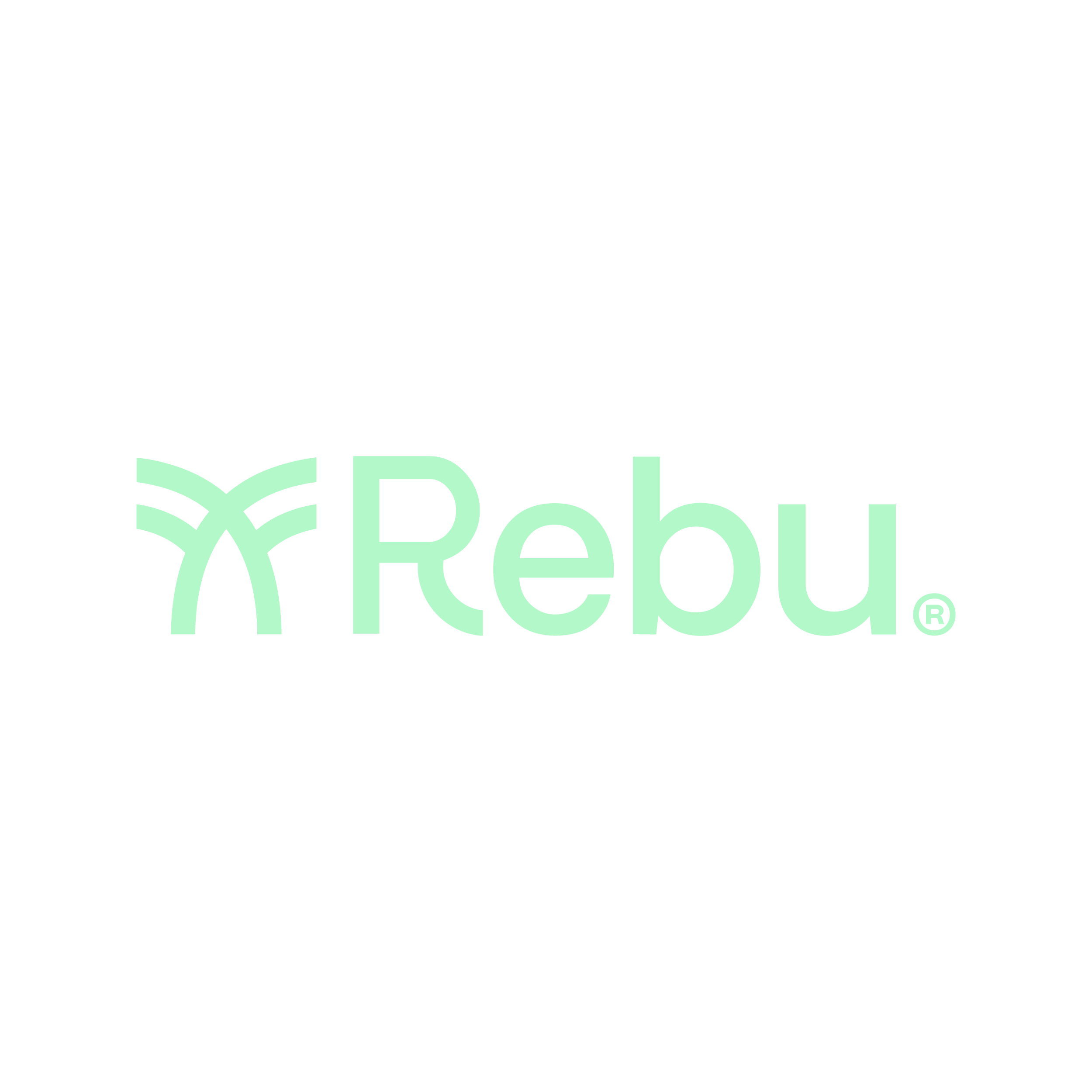 Rebu